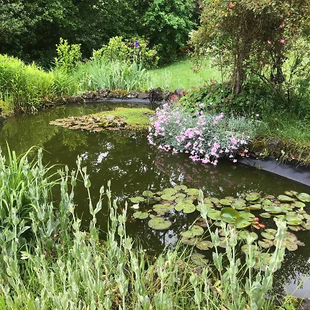 Le Figarelou 3* Thiézac