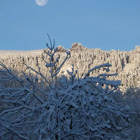 Nocleg ze śniadaniem Le Figarelou