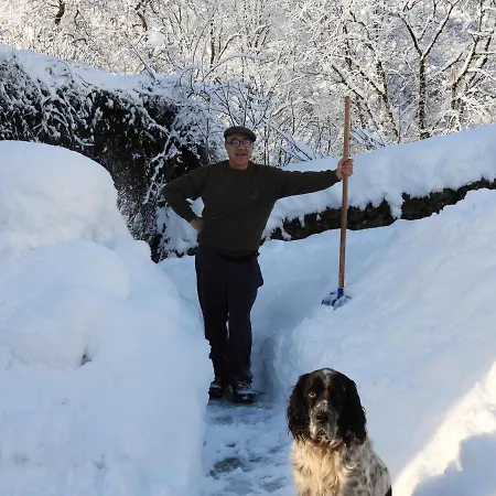 Nocleg ze śniadaniem Le Figarelou