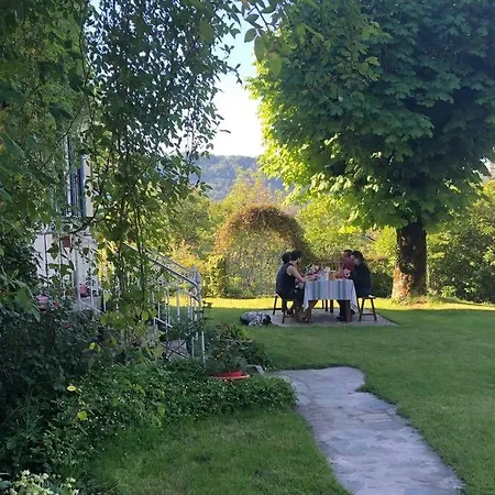 Le Figarelou 3* Thiezac