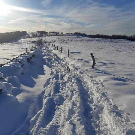 Le Figarelou Nocleg ze śniadaniem Thiézac