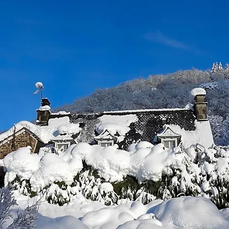 Le Figarelou 3* Thiézac