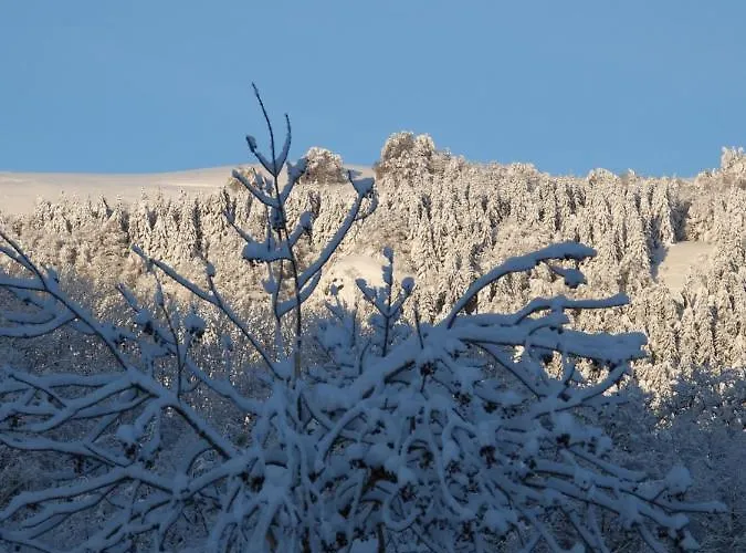 Nocleg ze śniadaniem Le Figarelou