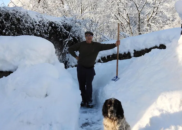 Nocleg ze śniadaniem Le Figarelou