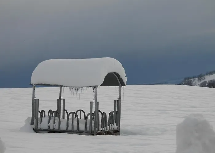 Le Figarelou 3* Thiézac