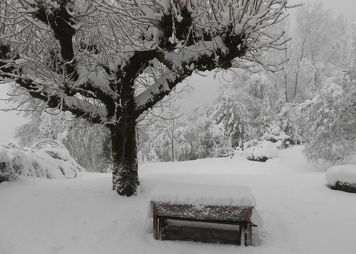 Nocleg ze śniadaniem Le Figarelou 3*