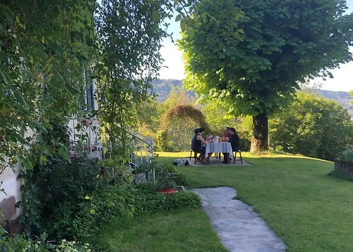 Le Figarelou 3* Thiézac