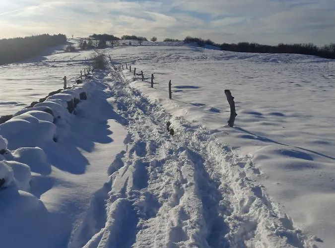 Le Figarelou Nocleg ze śniadaniem Thiézac